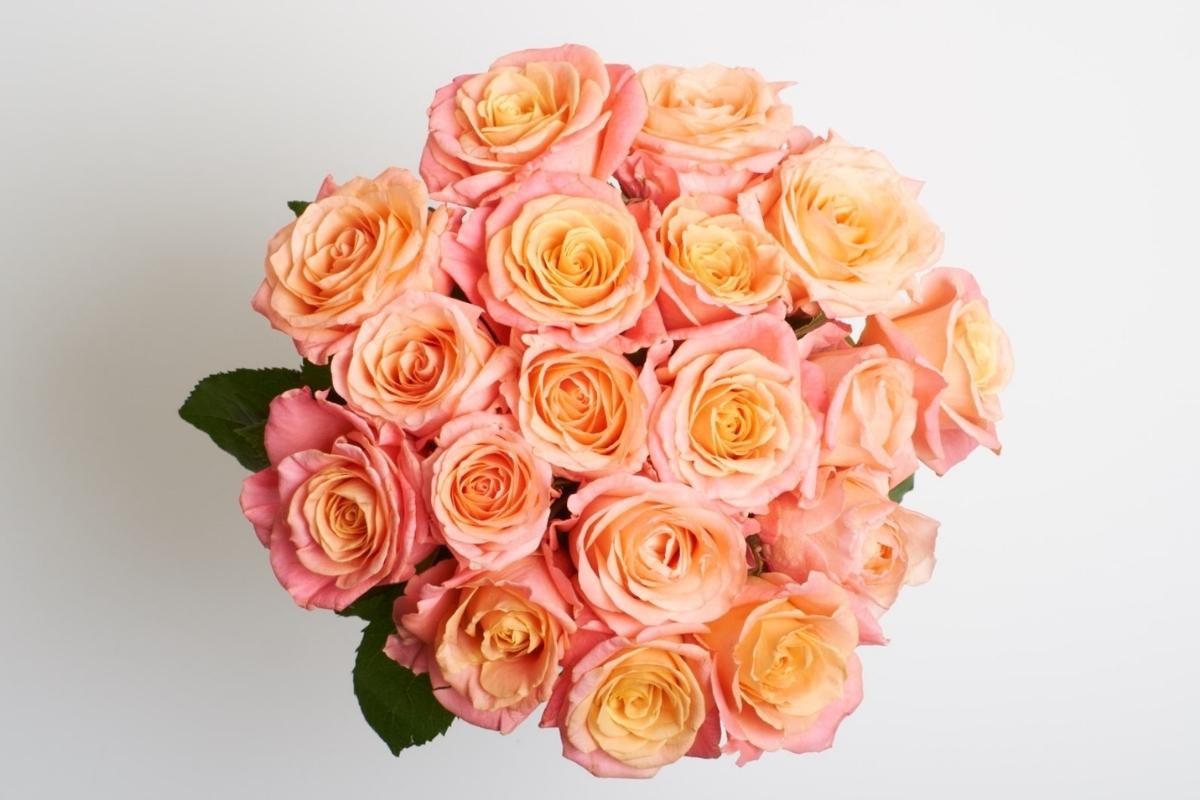 Penrose-Bozeman-Best Flower Shops-Ode à la Rose