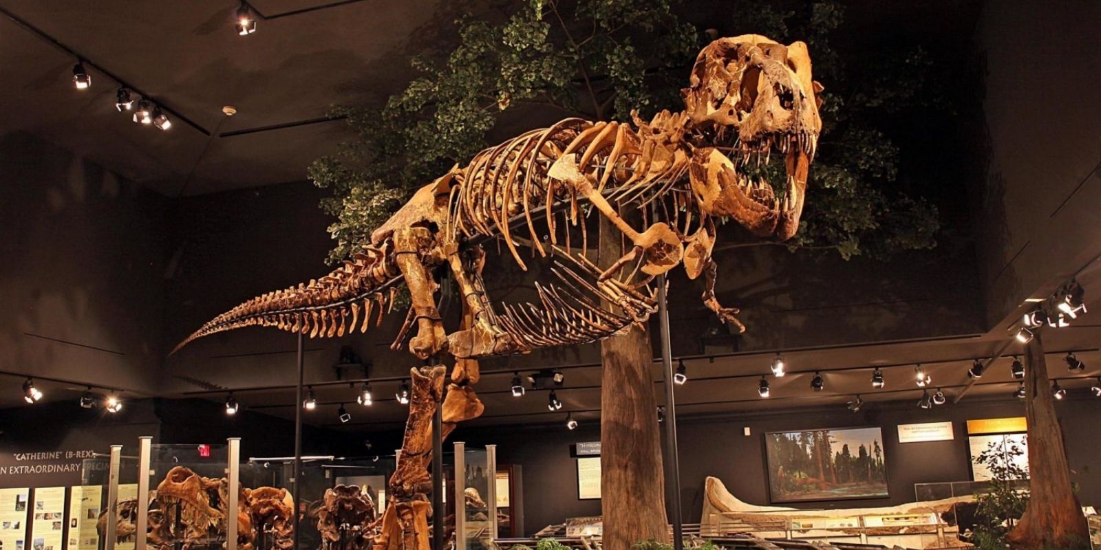 Your Penrose Museum and History Guide